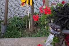 WhatsApp-Image-2020-08-06-at-06.52.35