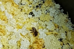 20190616_155838