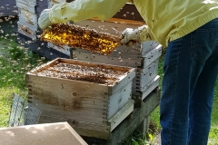 20190616_162144