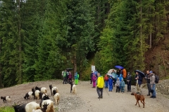 Foto-11.09.22-18-51-02-5