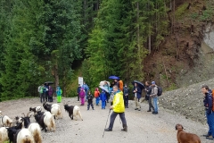 Foto-11.09.22-18-51-02-6